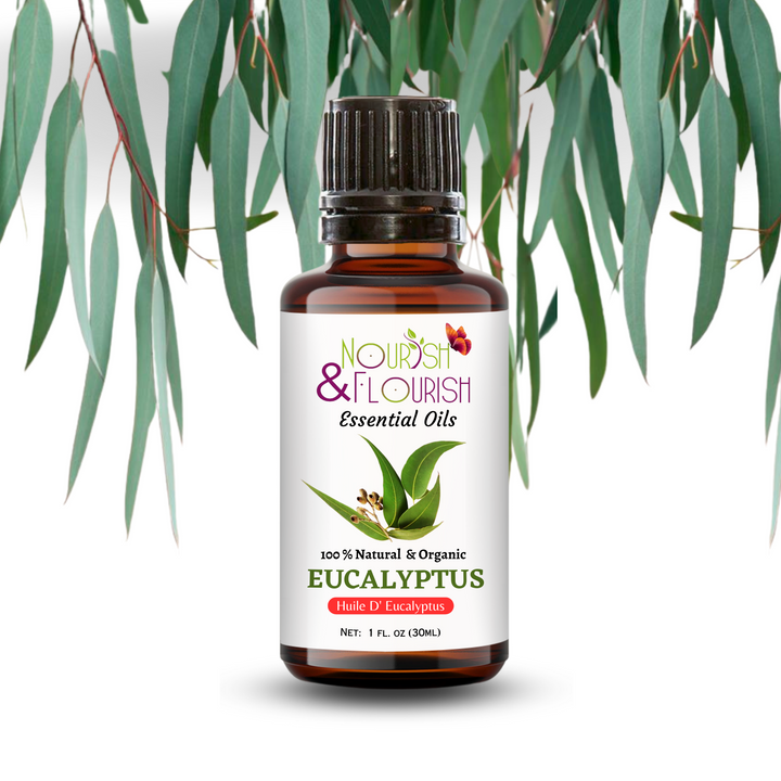 Eucalyptus essential Oil 