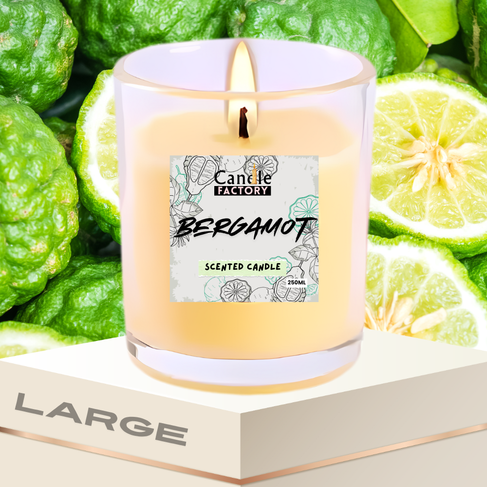 Scented Candle Most Selling - Worlds Favorite - (SOY WAX)