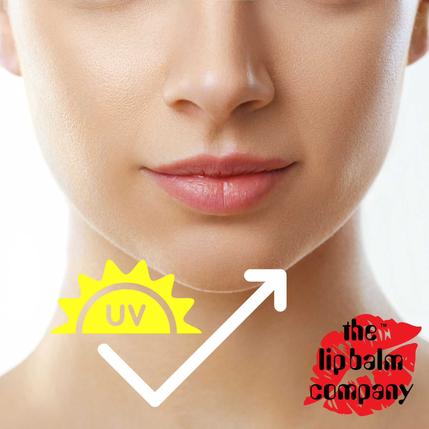 محافظ لب (درخت چای)