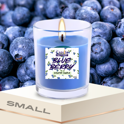 Scented Candle Most Selling - Worlds Favorite - (SOY WAX)