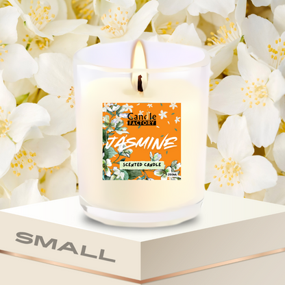 Scented Candle Most Selling - Worlds Favorite - (SOY WAX)