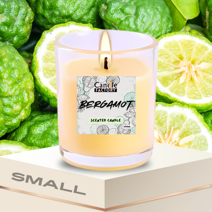 Scented Candle Most Selling - Worlds Favorite - (SOY WAX)